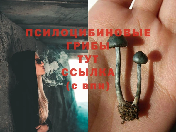 ECSTASY Богородицк