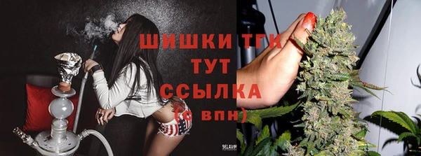 ECSTASY Богородицк