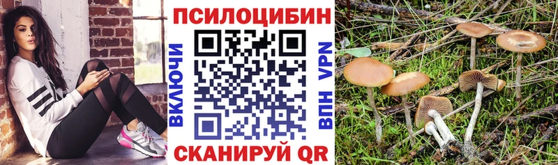 Псилоцибиновые грибы GOLDEN TEACHER  Купить закладки  Южно-Сухокумск 
