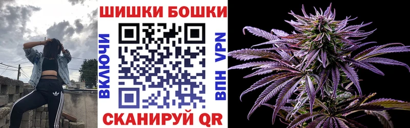 Бошки марихуана THC 21%  Купить закладки  Южно-Сухокумск 